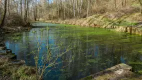 Śluza Leśniewo Górne na wiosennych ujęciach, marzec 2024 r. - zdjęcie 53