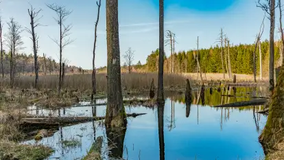 Wiosna nad niewielkim, mazurskim jeziorkiem, marzec 2024 r.