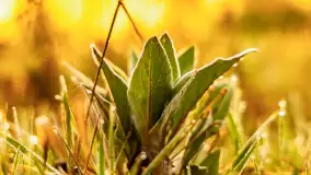 Mazurskie pajęczyny o wschodzie słońca nad jeziorem Dobskim - zdjęcie 28