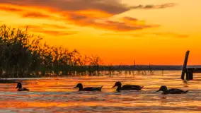 Zachód słońca w przystani Rajcocha, lipiec 2024 r. - zdjęcie 55