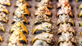 Festiwal Kultury Średniowiecza Masuria 2024, fotorelacja - zdjęcie 20