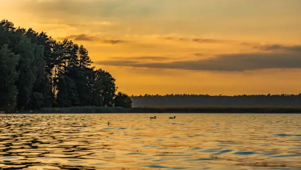 Puszcza Piska na początku września 2024 r. - zdjęcie 8