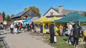 Fotorelacja z Mazurskiego Redyku w Sołdanach, październik 2024 - zdjęcie 12