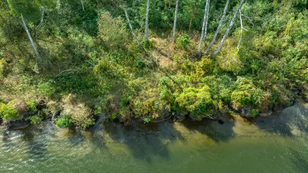 Kanał Jegliński z drona, wrzesień 2024 r. - zdjęcie 11