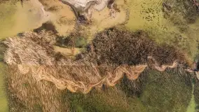 Półwysep Szeroki Ostrów, marzec 2025r. - zdjęcie 29