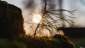 Zachód słońca nad Bindugą Zimny Kąt, marzec 2025r. - zdjęcie 22