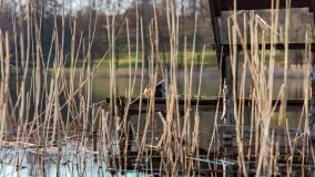 Słoneczny Ryn pod koniec marca - zdjęcie 51