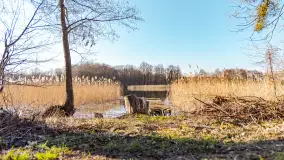 Słoneczny Ryn pod koniec marca - zdjęcie 53