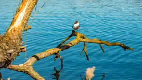 Wiosna w Mrągowie, końcówka marca 2023 r. - zdjęcie 44