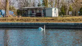 Kanał Grunwaldzki i szukanie wiosny przed sezonem 2025 - zdjęcie 7