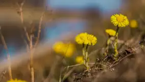 Kanał Grunwaldzki i szukanie wiosny przed sezonem 2025 - zdjęcie 12