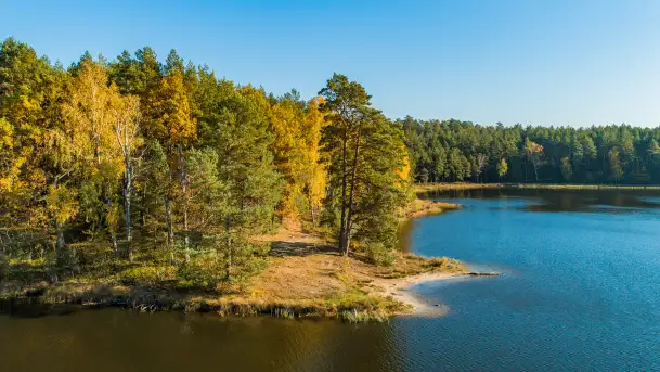 Jezioro Wesołek i puszcza Piska z drona, jesień 2025 r.