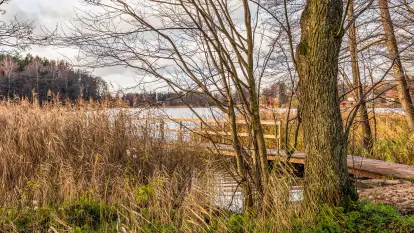 Jezioro Krzywa Kuta między jesienią, a zimą, listopad 2025 r.