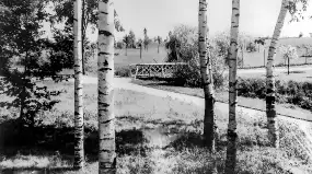 Wkrótce ożywimy AI pocztówki z Kętrzyna / Rastenburg, wracamy do przeszłości - zdjęcie 13