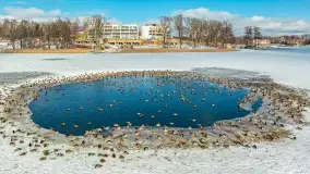 Stranda zimą, początek lutego 2025 r.