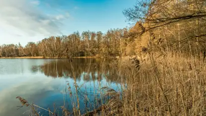 Mix naszych niewykorzystanych zdjęć z ostatnich lat