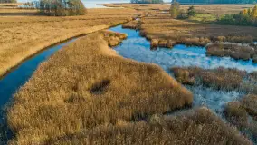 Jesienne Mazury z drona, mix ujęć, październik 2025 r. - zdjęcie 8