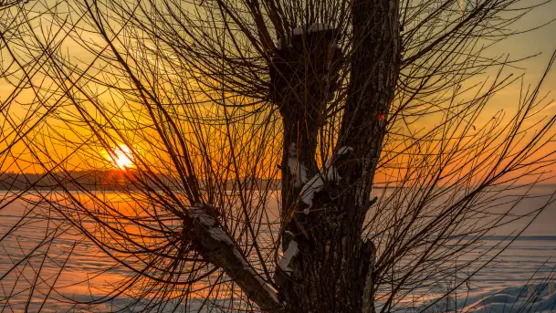 Zachód słońca nad jeziorem Śniardwy, styczeń 2026 r. - zdjęcie 11