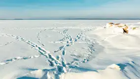 Marina Śniardwy i największe polskie jezioro w zimowej scenerii, styczeń 2026 r. - zdjęcie 8