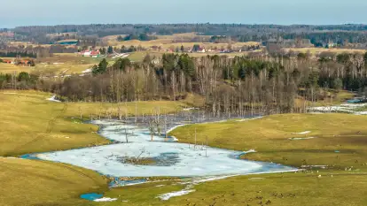 Jeleniowate na mazurskich polach i łąkach, marzec 2026 r.