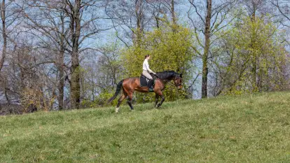 Wiosenna przejażdżka po mazurskich łąkach, kwiecień 2026 r.
