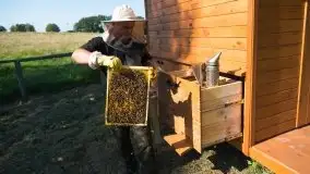 Zdjęcia: Odwiedzamy leśną pasiekę, czyli Mazury na słodko - zdjęcie 12