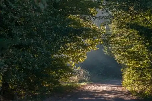 Zdjęcia: Mazurskie pejzaże na zdjęciach Janka Olchówki - zdjęcie 8