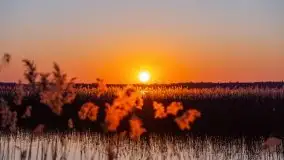 Kal i jezioro Mamry w marcowym słońcu - zdjęcie 43