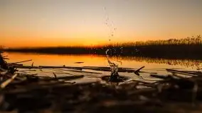 Kal i jezioro Mamry w marcowym słońcu - zdjęcie 44