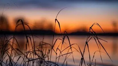 Wschód nad jeziorem Stręgielek, marzec 2020