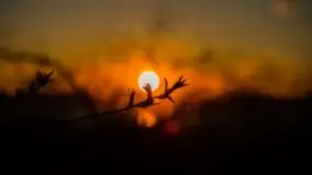 Zachód słońca nad jeziorem Kruklin - zdjęcie 23