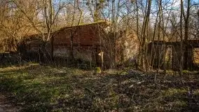 Ruiny Pałacu w Mieduniszkach Wielkich - zdjęcie 13