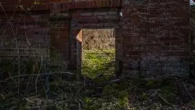 Ruiny Pałacu w Mieduniszkach Wielkich - zdjęcie 14