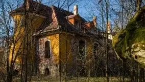 Ruiny Pałacu w Mieduniszkach Wielkich - zdjęcie 22