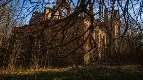 Ruiny Pałacu w Mieduniszkach Wielkich - zdjęcie 29