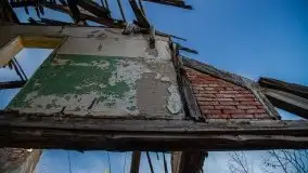 Ruiny Pałacu w Mieduniszkach Wielkich - zdjęcie 49