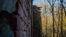 Ruiny Pałacu w Mieduniszkach Wielkich - zdjęcie 60