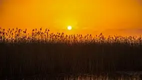 Wschód Słońca, Wilkasy, jezioro Niegocin - zdjęcie 56