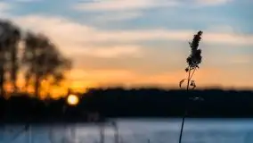 Zachód słońca nad jeziorem Ryńskim, Rybical - zdjęcie 27