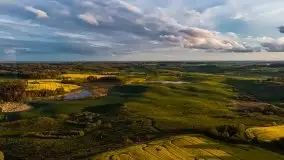 Złoto w kolorach słońca i rzepaku, maj 2020.r - zdjęcie 23