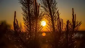 Zachód słońca widoczny z Grodzisko Święta Góra - zdjęcie 52