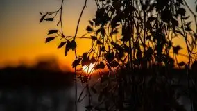 Zachód słońca widoczny z Grodzisko Święta Góra - zdjęcie 54