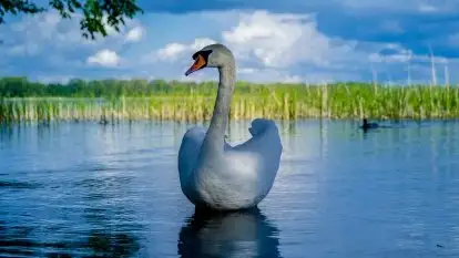 Miłośnicy Mazur - majowe Mazury na zdjęciach Staszka Sielewicza