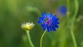 Zachód Słońca nad kanałem Jeglińskim - zdjęcie 40