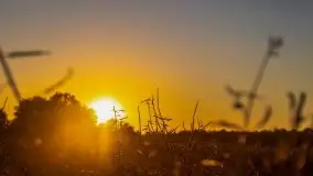 Zachody słońca na Mazurach, lipiec 2020 - zdjęcie 41