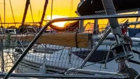 Zachód słońca w Tle Dla Mew, sierpień 2020 r. - zdjęcie 11