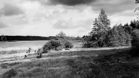 Przedwojenne zdjęcia Wydmin (Wydminnen) - zdjęcie 20