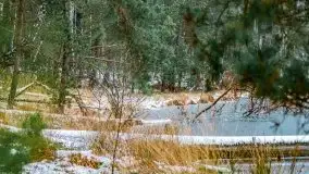 Zima nad jeziorem Wesołek, okolice Rucianej Nidy - zdjęcie 2