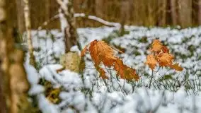Zima nad jeziorem Wesołek, okolice Rucianej Nidy - zdjęcie 13