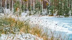 Zima nad jeziorem Wesołek, okolice Rucianej Nidy - zdjęcie 62